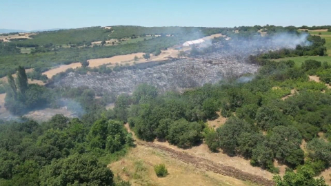 İnegöl'de mangal sevdası ormanı tutuşturdu