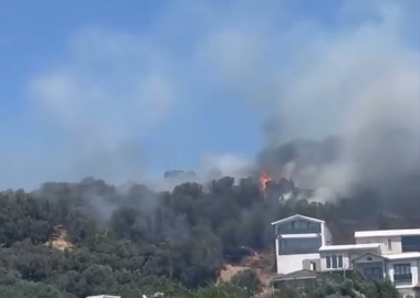 Mudanya'da zeytinlik alanda çıkan yangın kontrol altında