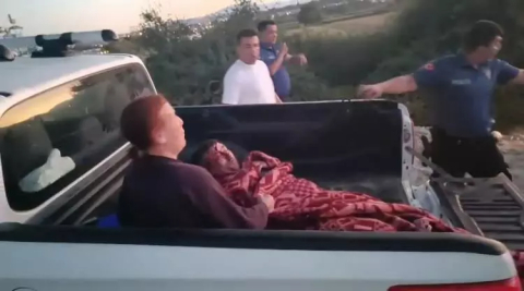 Çiftçiye saldıran aslanın sahibi: "İnsanlara saldırmazdı, sosyal bir hayvandı"