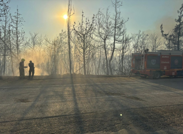 Bursa’da orman yangını