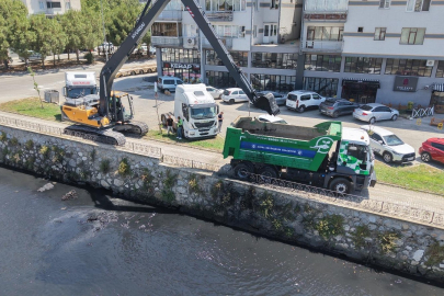 Gemlik Belediyesi ve Tarım AŞ’den Karsak Deresi’nde ortak temizlik