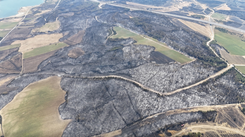 Çanakkale’de 119 futbol sahası büyüklüğünde alan yandı