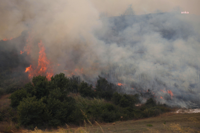 Manavgat, Gazipaşa ve Muratpaşa yangınları kontrol altına alındı