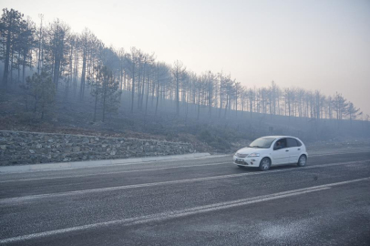 Bakan Yumaklı'dan Bursa yangını açıklaması