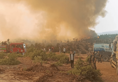 Bursa Büyükşehir: "Yangın Çakmak köyüne gelmeden durduruldu, müdahale sürüyor"