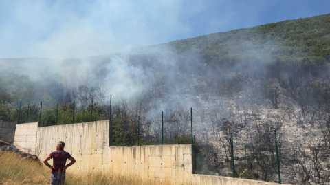 Bursa'da makilik alanda yangın