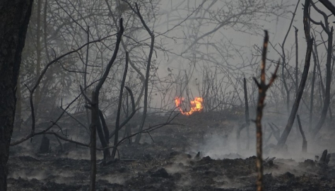 Bursa’daki yangınların ekonomik bedeli 3,7 milyar lirayı aştı