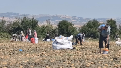 Bursa’da zarar eden çiftçi patatesleri halka dağıttı