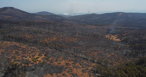 Başkan Bozbey'den yanan ormanlar için Bursalılara çağrı