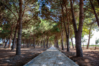 Bursa’ya 24 bin metrekarelik yeni mesire alanı