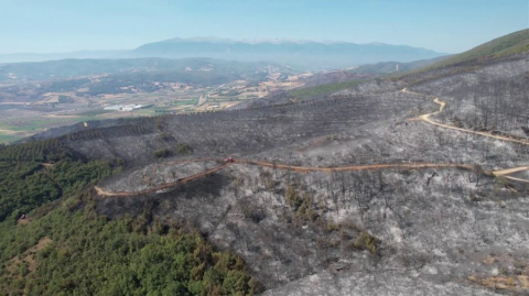 Bursa'da dün yanan ormandan geriye gri görüntü kaldı