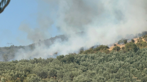 İznik'te çıkan orman yangını kontrol altında!