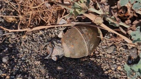 İznik Gölü kıyısında patlamamış el bombası paniği