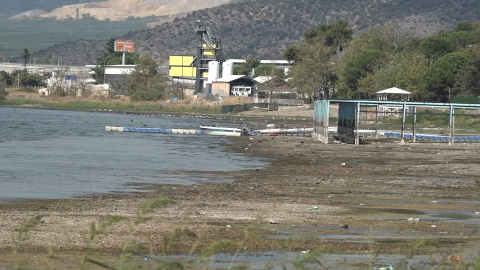 İznik Gölü alarm veriyor: Kuraklık ve su çekimi gölü bataklığa çevirdi