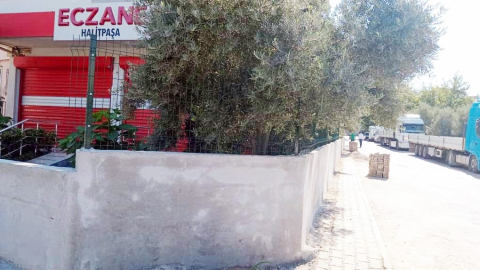 Mudanya'da eczane zeytin ağaçları için duvar ördü, kaldırımı işgal etti
