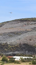 Karacabey'deki orman yangını söndürüldü