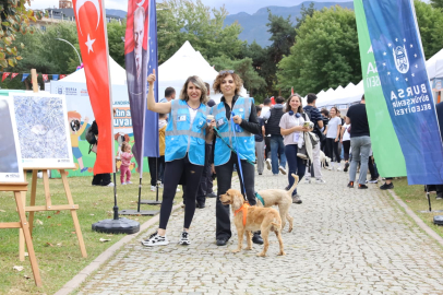 Bursa’da “satın alma, yuvam ol” şenliği: Onlarca can dostu yeni evine kavuştu