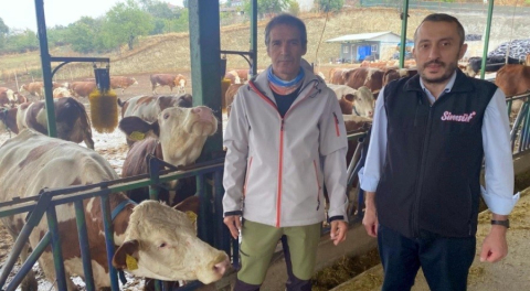 Bursa'da yapay zeka kullanılan çiftlikte her şeye anında müdahale