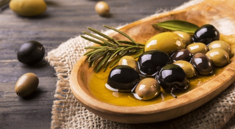 Her 6 sofralık zeytinden birini Bursa ve Balıkesir üretecek