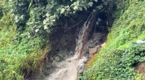 Karsak Deresi alarm veriyor: Kirli su Gemlik Körfezi'ne ulaşıyor