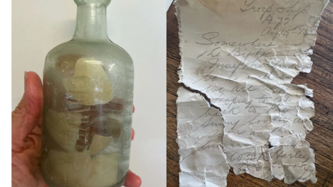 Birinci Dünya Savaşı'na giden askerlerin şişeye koyup denize attıkları mektuplar sahile vurdu