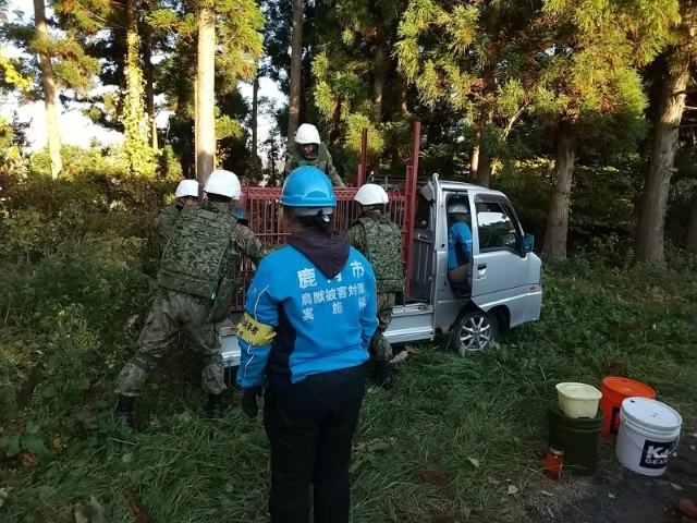 Japonya'da ayılar 12 kişiyi öldürdü, askerler nöbet tutmaya başladı