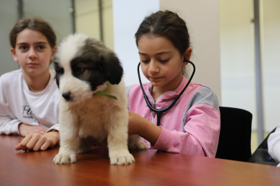 Bursa’da çocuklar bir günlüğüne veteriner oldu