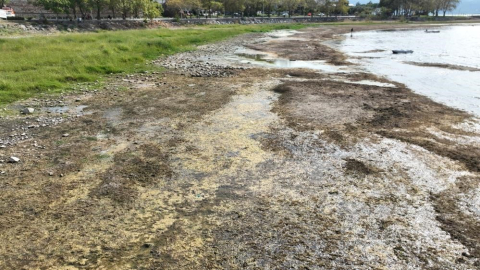 İznik Gölü göz göre göre kuruyor: Cargill'in 1 milyon metreküpten fazla su çektiği iddia ediliyor