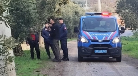 Bursa'da 500 kilo zeytini dalından çaldılar