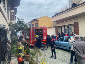 Bursa'da ev yangını: İtfaiyenin hızlı müdahalesiyle akvaryumdaki balıklar kurtarıldı