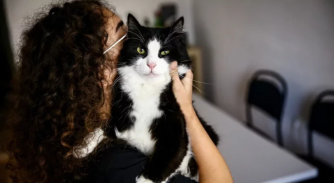 Evcil hayvan sahiplerine uyarı: Son gün 31 Aralık