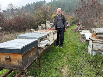 Bursa'da zirai ilaç felaketi: Milyonlarca arı kovana dönemedi