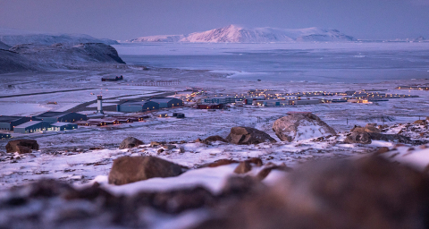 Avrupa ülkelerinden ABD'nin Grönland tehditlerine "yanıt" hazırlığı