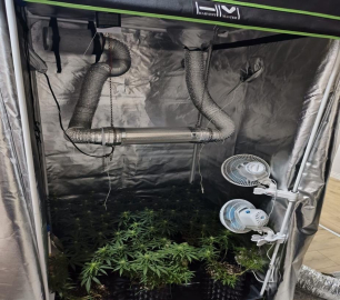 İnegöl'de uyuşturucu operasyonu: Evde esrar üretim düzeneği ele geçirildi