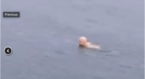 Bursa’da dondurucu soğukta deniz keyfi