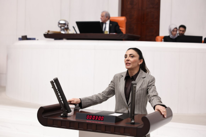 CHP'li Kayışoğlu: Staj ve çıraklık süreleri emeklilikten sayılmalı