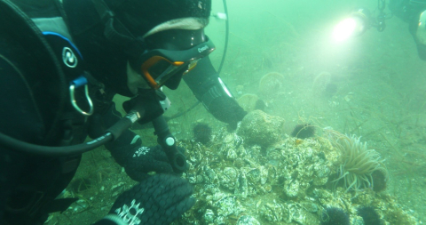 Marmara Denizi'ne kıyı kentlerin Belediye Başkanlarına dalış çağrı