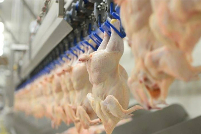 Tavuk eti ihracatı yarından itibaren durdurulacak