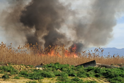 İznik'te sazlık yangını: Müdahale sürüyor