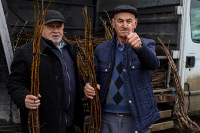 Bursa Büyükşehir'den Harmancık'ta üreticiye fidan ve tohum desteği
