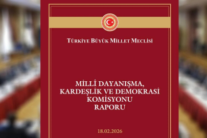 Millî Dayanışma, Kardeşlik ve Demokrasi Komisyonu raporu yayımlandı