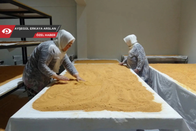 Nilüfer’de 750 kadınla katkısız ve doğal gıda üretimi