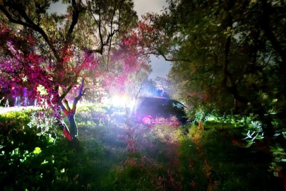 Bursa'da kazadan kaçan sürücü zeytinliğe daldı