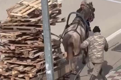 Karacabey'de pes dedirten görüntü!