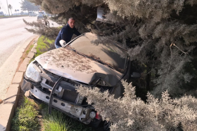 Bursa'da kontrolden çıkan otomobil ağaçlık alana uçtu