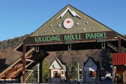 WWF-Türkiye’den Milli Parklar Kanunu tepkisi: "Dağ çökerse şehir göçer"