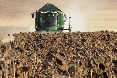 Resmi Gazete'de yayımlandı: Gümrük vergisi sıfırlandı