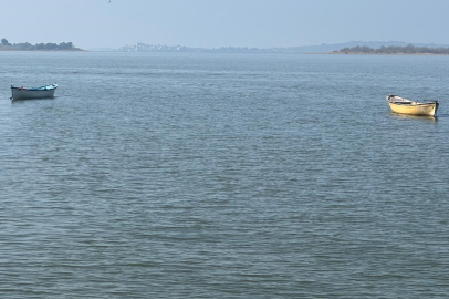 Turna severlere Uluabat Gölü'nden güzel haber