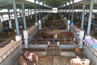 İnegöl Belediyesi hayvan pazarının kotra ihale tarihi belli oldu