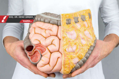 Bağırsak florası: “İkinci beyin” ve tekrarlayan vajinit–İYE döngüsü